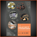 MUZEUM JIHOVÝCHODNÍ MORAVY VE ZLÍNĚ - POKLADY SKRYTÉ V PODZEMÍ KARPAT aneb nerostné bohatství Zlínského kraje MUZEUM JIHOVÝCHODNÍ MORAVY VE ZLÍNĚ - POKLADY SKRYTÉ V PODZEMÍ KARPAT aneb nerostné bohatství Zlínského kraje