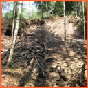 Běloves - Jiráskův lom