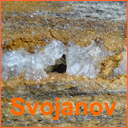 Minerály - Mineralogické lokality - Svojanov