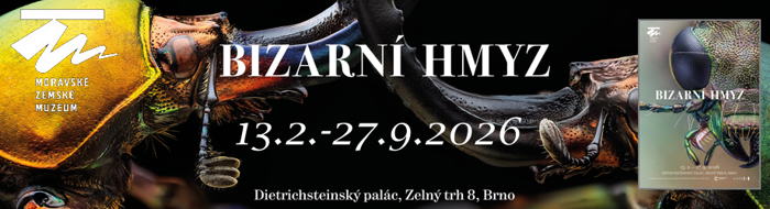 MZM Dietrichsteinský palác – Bizarní hmyz MZM Dietrichsteinský palác – Bizarní hmyz