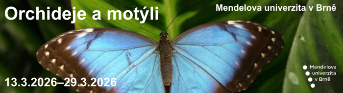 Mendelova univerzita v Brně – Orchideje a motýli Mendelova univerzita v Brně – Orchideje a motýli