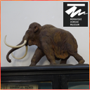 Moravské zemské muzeum v Brně - Zaniklý život na Moravě