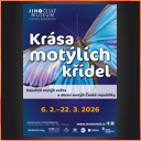 Jihočeské muzeum v Českých Budějovicích – Krása motýlích křídel