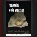 Muzeum regionu Valašsko - Zámek Kinských - Zkamenělá moře Valašska
