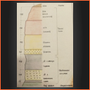 Profil Křídy lomu v Mastech