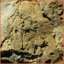 Vzorek č. 0001 (Neurčeno) - Masty Neurčeno - Masty