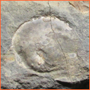 Vzorek č. 0005 (Neurčeno) - Masty Neurčeno - Masty