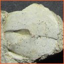 Vzorek č. 0012 (Neurčeno) - Masty Neurčeno - Masty