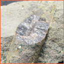 Vzorek č. 0015 - Praeactinocamax plenus (BLAINVILLE, 1827) - Masty Vzorek č. 0015 - Praeactinocamax plenus (BLAINVILLE, 1827) - Masty