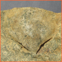 Vzorek č. 0026 (Neurčeno) - Masty Neurčeno - Masty