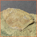 Vzorek č. 0029 (Neurčeno) - Masty Neurčeno - Masty