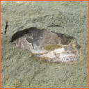 Vzorek č. 0035 (Neurčeno) - Masty Neurčeno - Masty