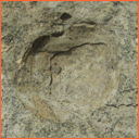 Vzorek č. 0036 (Neurčeno) - Masty Neurčeno - Masty