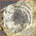 Vzorek č. 0045 (Neurčeno) - Masty Neurčeno - Masty