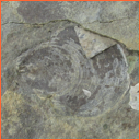 Vzorek č. 0054 (Neurčeno) - Masty Neurčeno - Masty