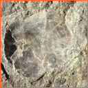 Vzorek č. 0057 (Neurčeno) - Masty Neurčeno - Masty