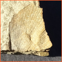 Vzorek č. 0059 (Neurčeno) - Masty Neurčeno - Masty