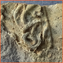 Vzorek č. 0060 (Neurčeno) - Masty Neurčeno - Masty