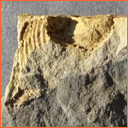 Vzorek č. 0073 (Neurčeno) - Masty Neurčeno - Masty