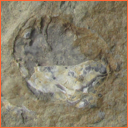 Vzorek č. 0074 (Neurčeno) - Masty Neurčeno - Masty