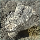 Vzorek č. 0075 (Neurčeno) - Masty Neurčeno - Masty