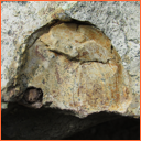 Vzorek č. 0080 (Neurčeno) - Masty Neurčeno - Masty