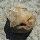 Vzorek č. 0082 (Neurčeno) - Masty Neurčeno - Masty