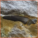 Vzorek č. 0087 (Neurčeno) - Masty Neurčeno - Masty