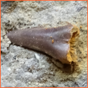 Vzorek č. 0088 (Neurčeno) - Masty Neurčeno - Masty