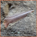 Vzorek č. 0090 (Neurčeno) - Masty Neurčeno - Masty