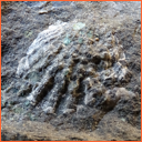 Vzorek č. 0093 (Neurčeno) - Masty Neurčeno - Masty