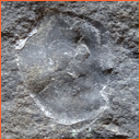 Vzorek č. 0094 (Neurčeno) - Masty Neurčeno - Masty