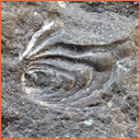 Vzorek č. 0095 (Neurčeno) - Masty Neurčeno - Masty