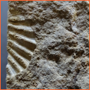 Vzorek č. 0096 (Neurčeno) - Masty Neurčeno - Masty