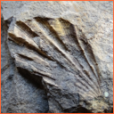 Vzorek č. 0098 (Neurčeno) - Masty Neurčeno - Masty