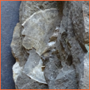 Vzorek č. 0099 (Neurčeno) - Masty Neurčeno - Masty