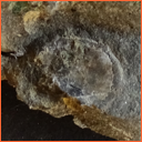 Vzorek č. 0105 (Neurčeno) - Masty Neurčeno - Masty