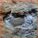 Vzorek č. 0107 (Neurčeno) - Masty Neurčeno - Masty