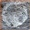 Vzorek č. 0109 (Neurčeno) - Masty Neurčeno - Masty