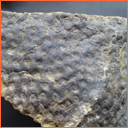 Vzorek č. 0112 (Neurčeno) - Masty Neurčeno - Masty