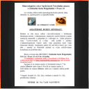 Praha ZŠ Brigádníků 28.5.2022