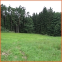 Bohuškovice - opál