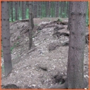 Komárovice