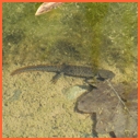 Příroda 2012