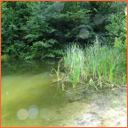 Vidnava - kaolínové jezírko