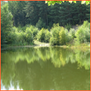 Vidnava - kaolínové jezírko