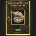 Geologická minulost Novostrašecka.
