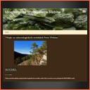 Třebín Petr - Mineralogické stránky