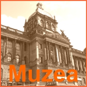 Muzea s mineralogickou tematikou