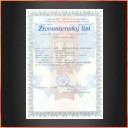 Koupě zboží za účelem jeho dalšího prodeje a prodej